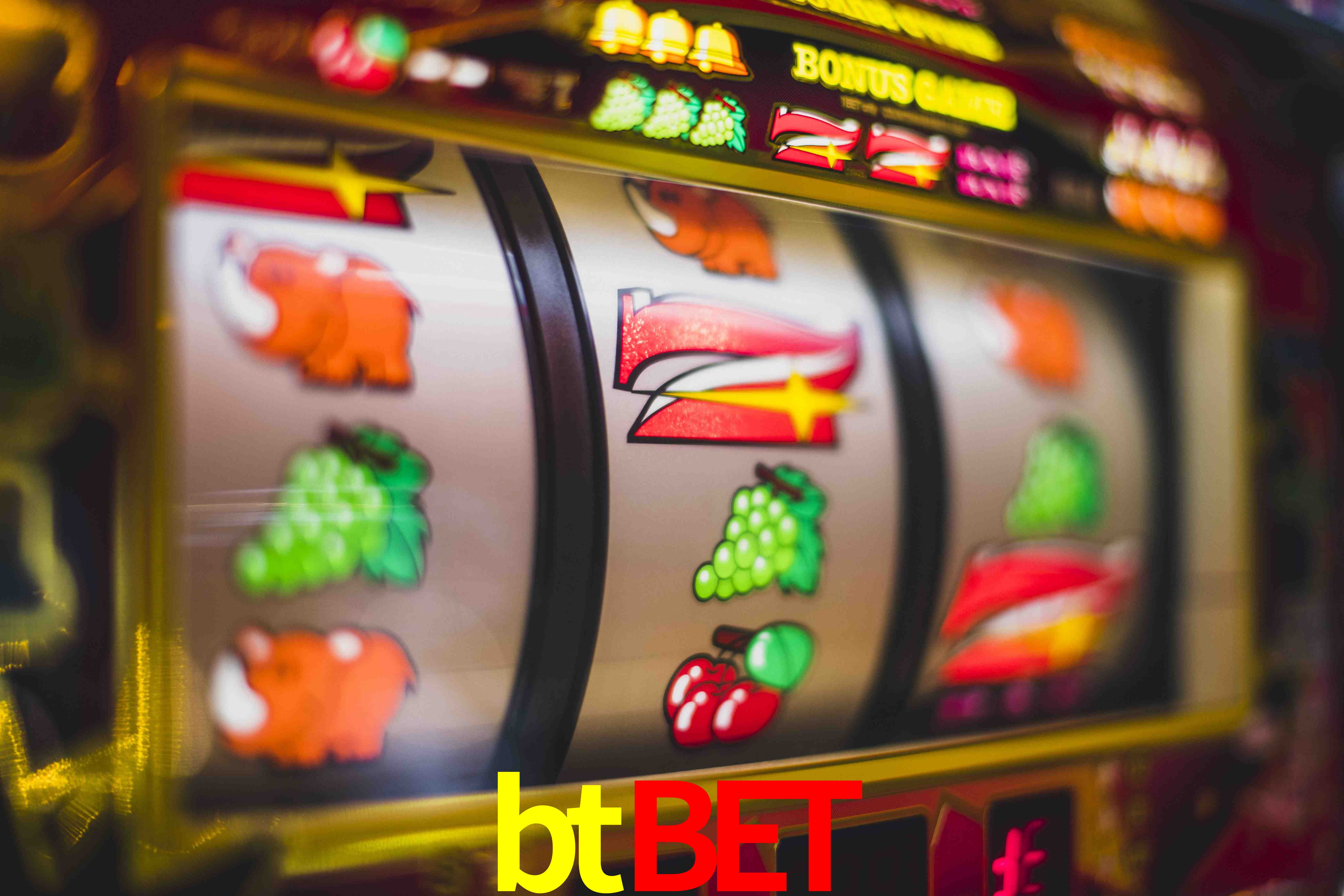 Sports Statistics btbet